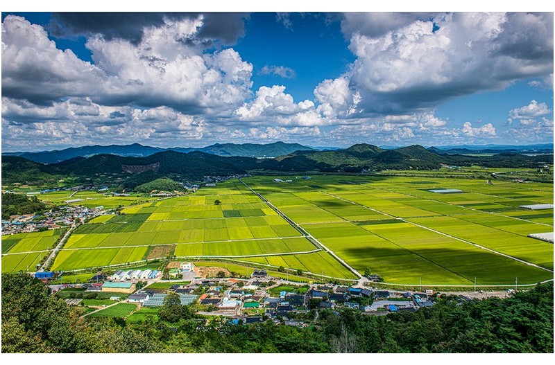 풍요로운 남도들녁