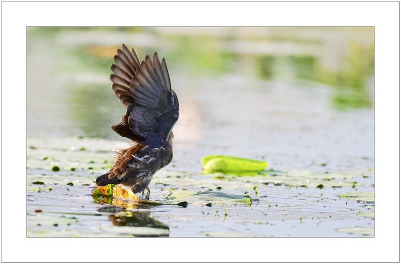 순간의  미학...