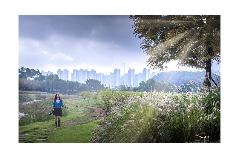 아름답던 아침에