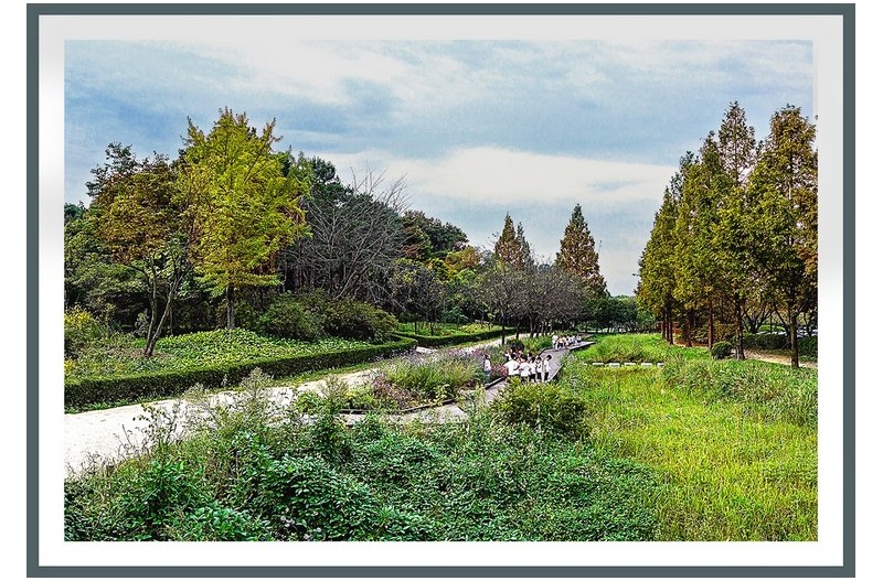 초 가을의 자연의 미