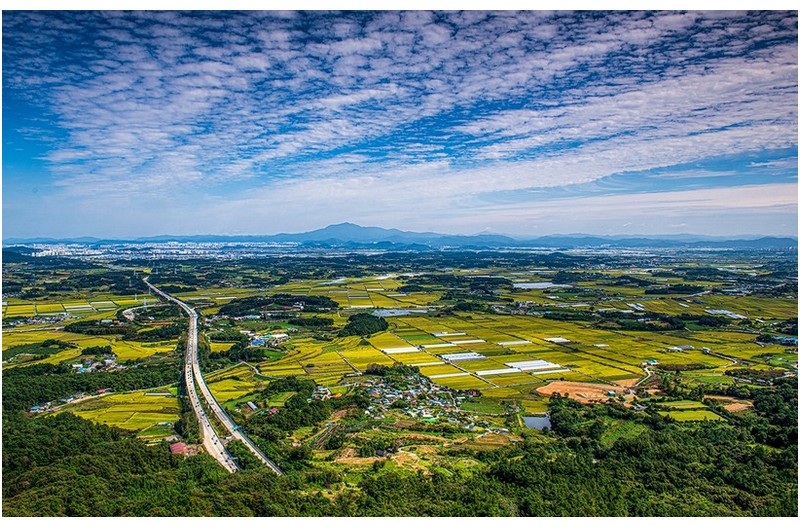풍요로운 남도들녘