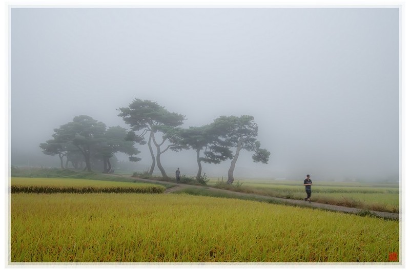 가을들녘에서