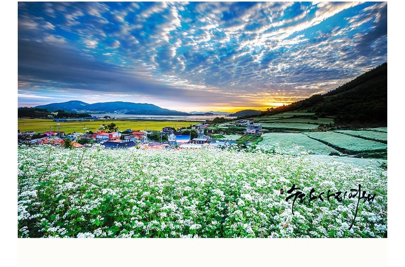 선학동 가을아침