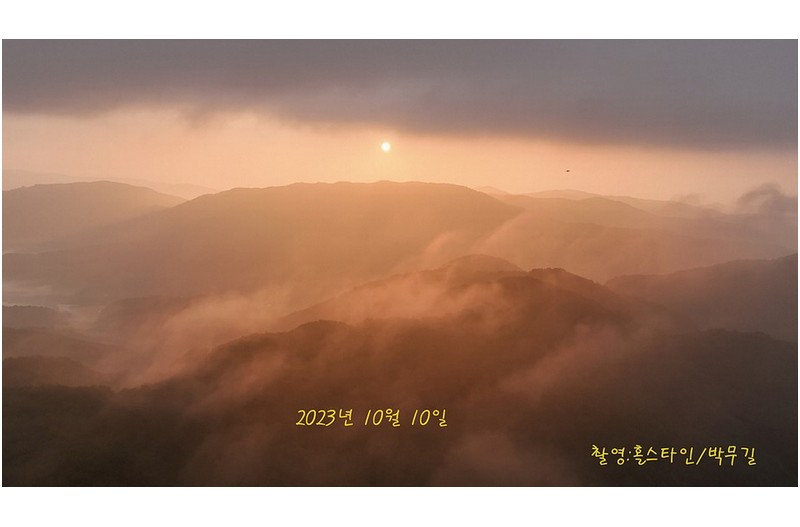 구절초#공주 구룡사-2부