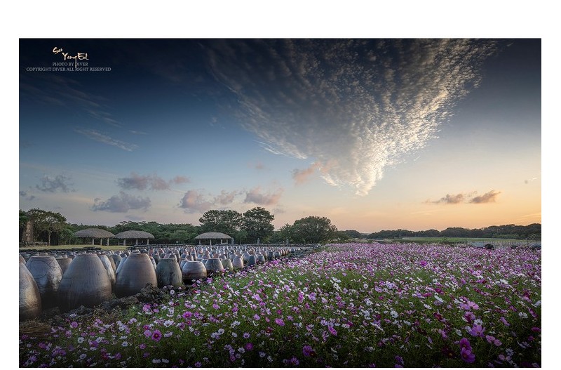 아름다웠던 아침에