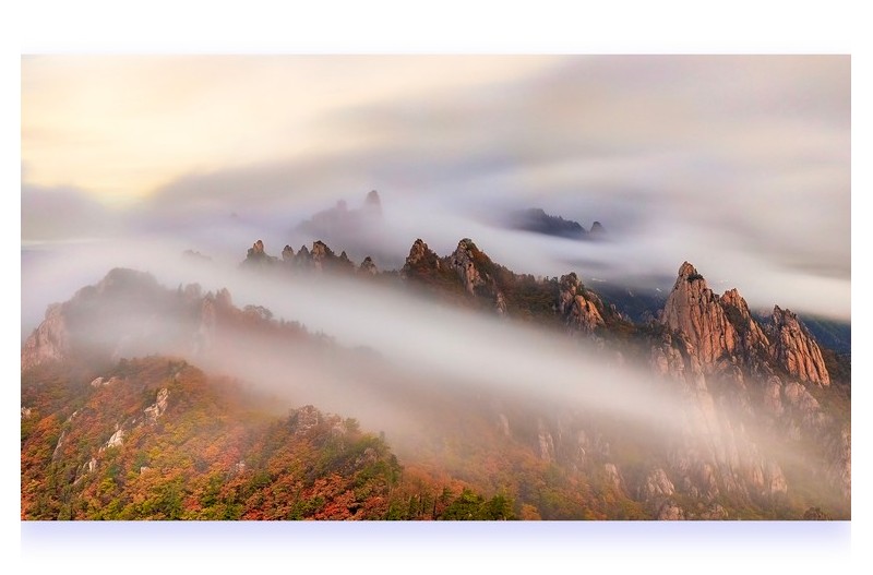 한참을 바라보다