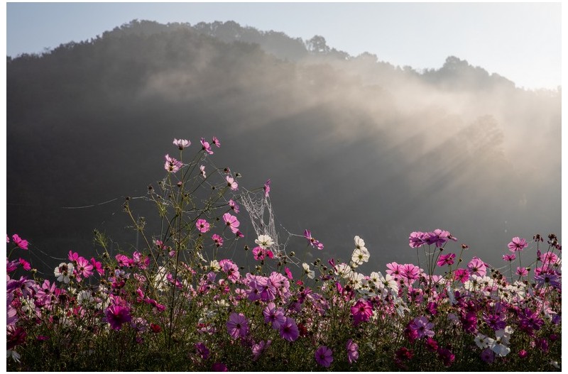아침이 주는 선물