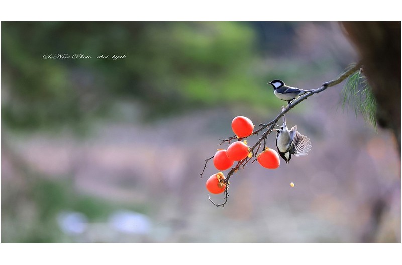 우짜노   ㅡㅡㅡㅡㅡㅡㅡㅡㅡㅡㅡㅡㅡ