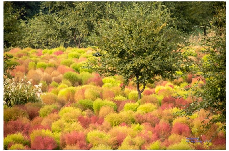 ): 하중도에서^^~