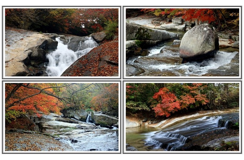 용 소 골 (오늘 오전 )