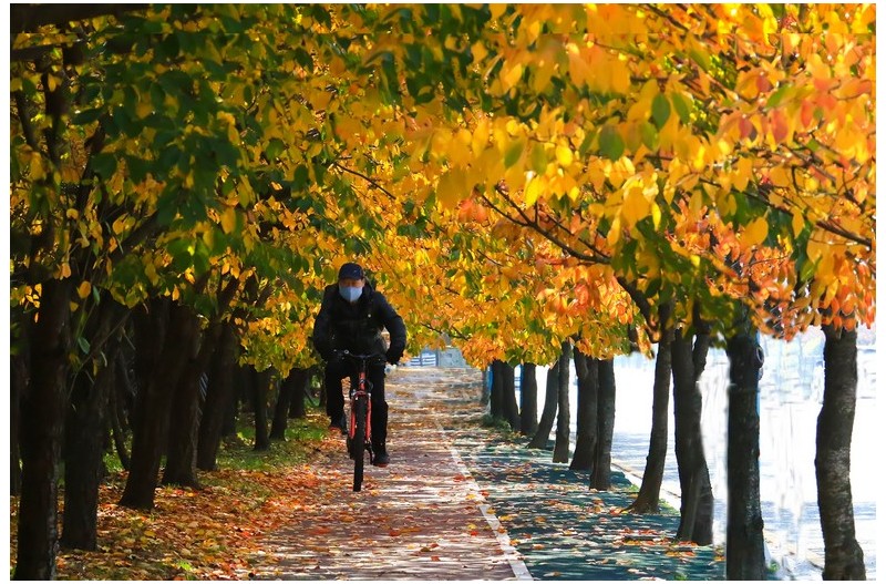 을숙도 가는길목`