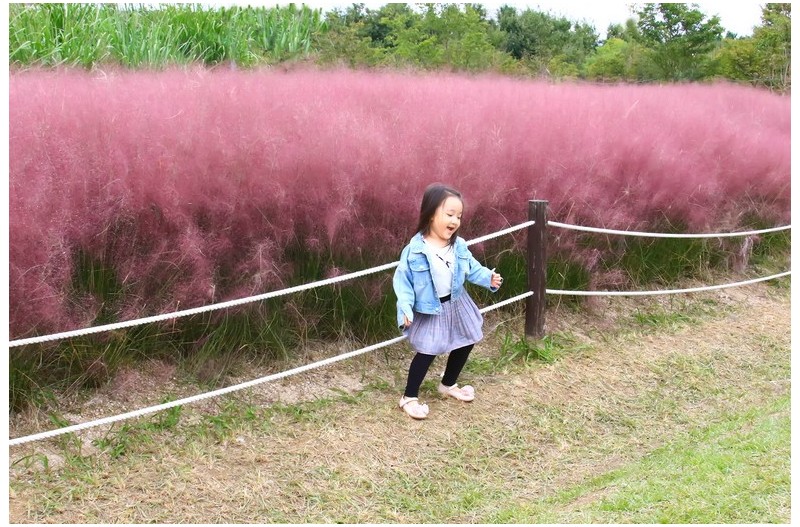 아름다운 동심`