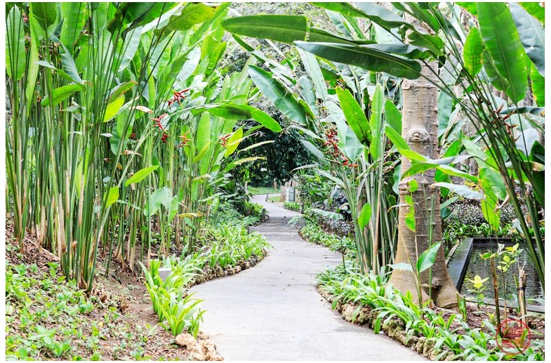 산책하기 좋은 길