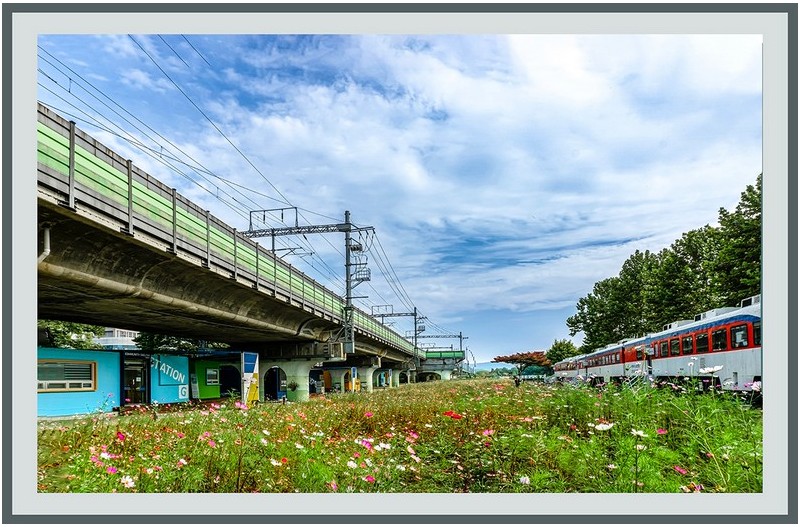마음속의고향.............