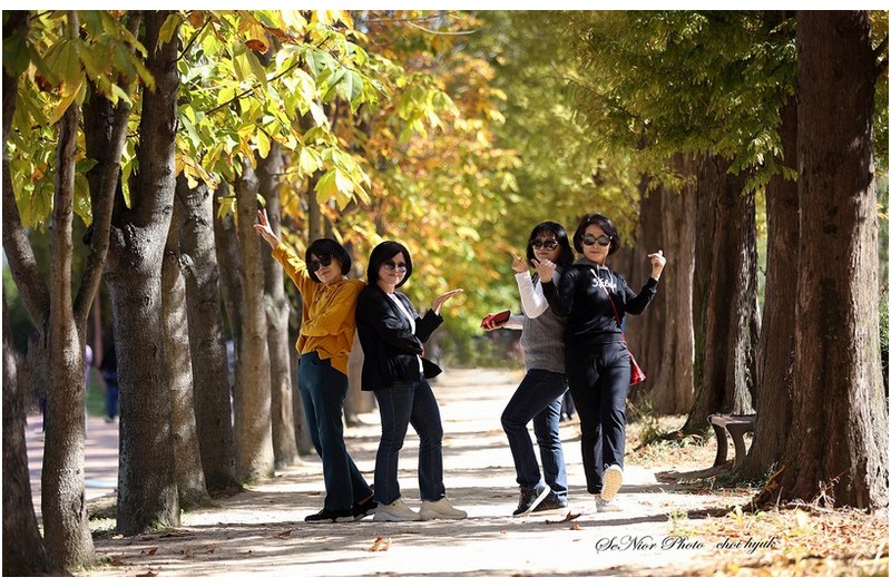 ㅡㅡㅡㅡㅡㅡㅡㅡㅡㅡㅡㅡㅡㅡㅡㅡㅡㅡㅡㅡㅡㅡㅡㅡㅡㅡㅡㅡㅡㅡ  가을이 가기전에  ㅡㅡㅡㅡㅡㅡㅡㅡㅡㅡㅡㅡㅡ