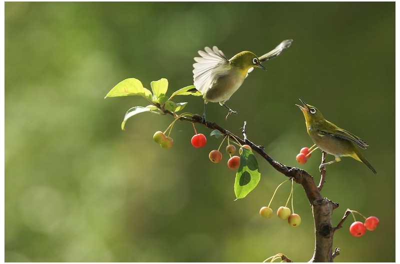 동박이 놀이터`