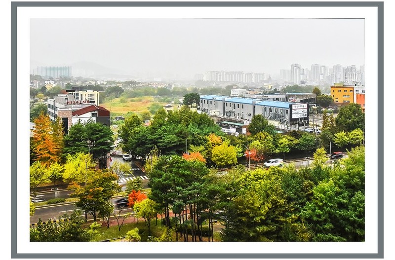 가랑비내리는아침 .................