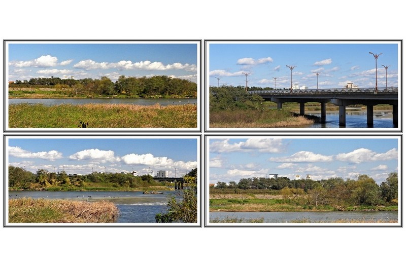 남대천 가을 풍경