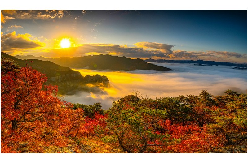 아마도 담주쯤,,,,