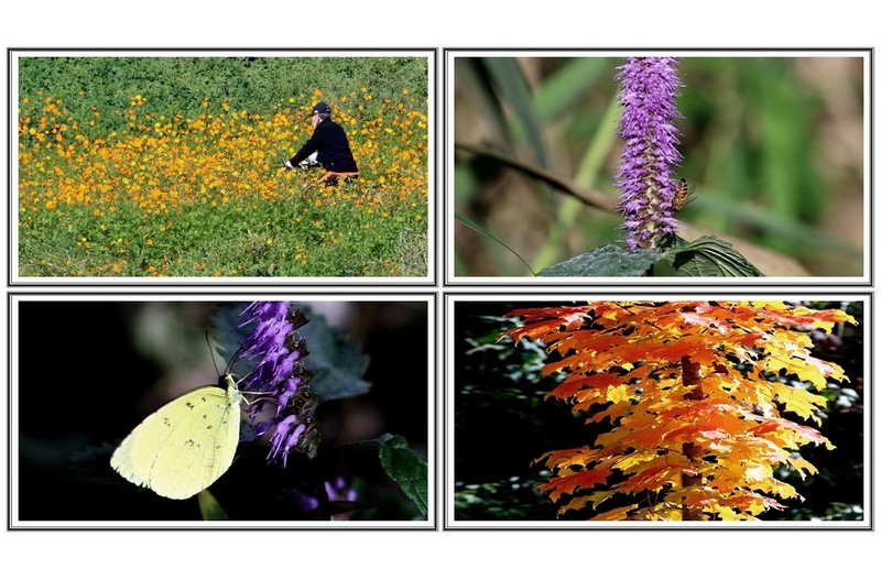 집인근 산책 길에