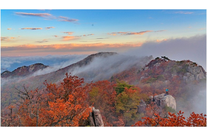 가을 담는 사진가