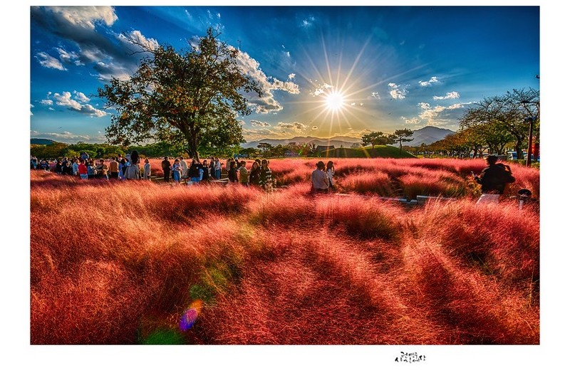 어느 눈부신 날에...