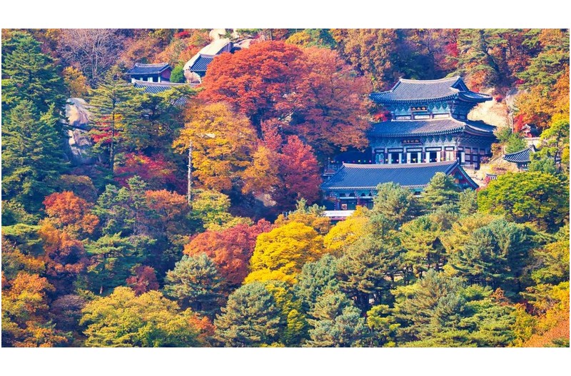 도봉산 망월사 추색