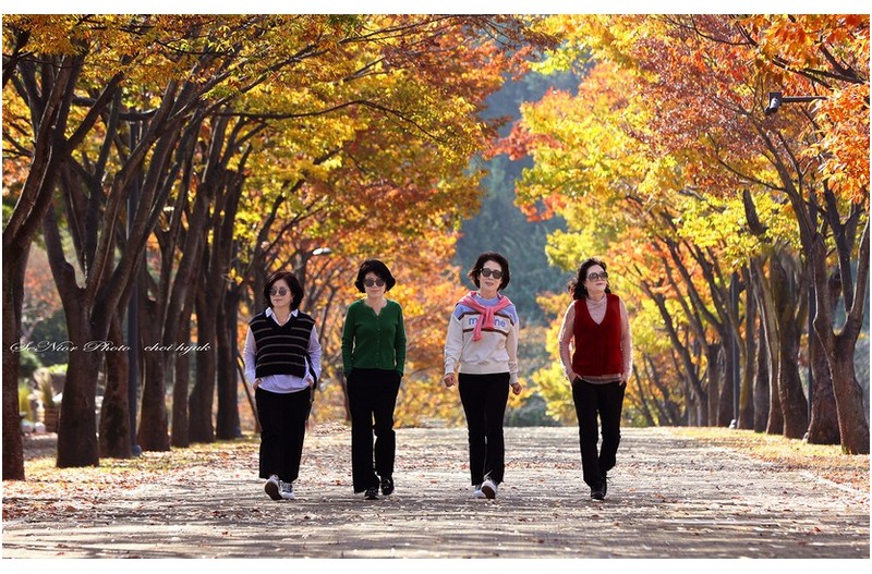 ㅡㅡㅡ  문수의 女人인들  ㅡㅡㅡ