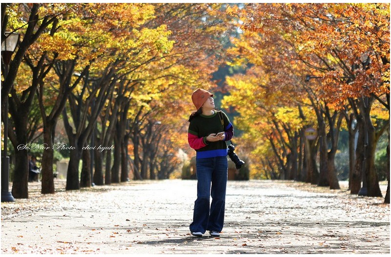 ㅡㅡㅡ   시월  마지막 날에  ㅡㅡㅡ