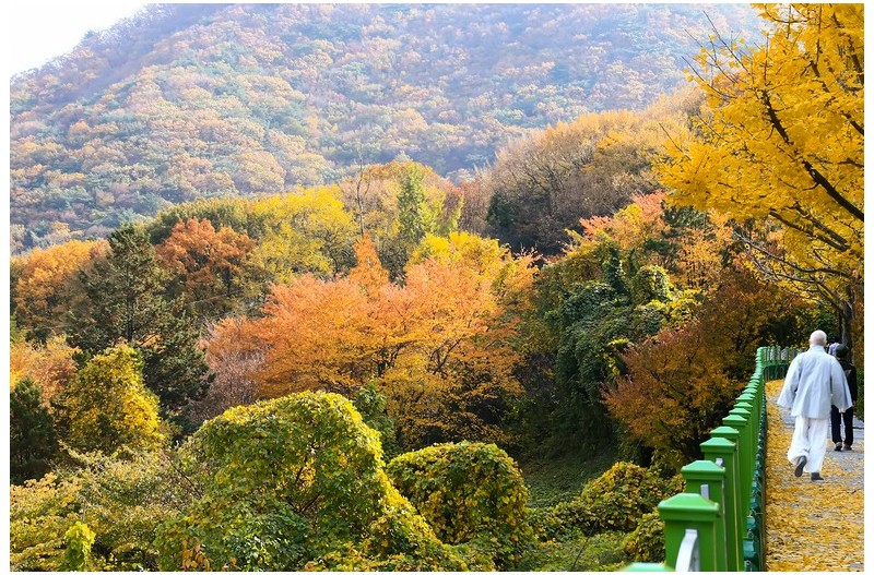 범어사 의 가을`