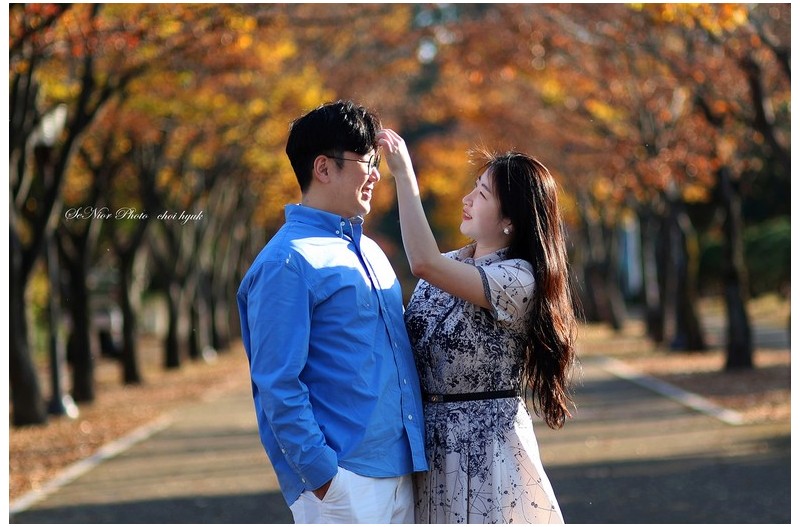 ㅡㅡㅡ   마로니 夫婦   ㅡㅡㅡ