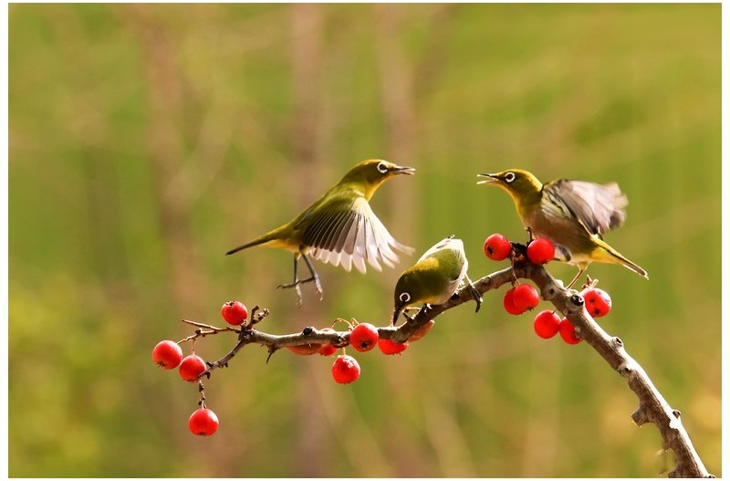 동박이 놀이터`