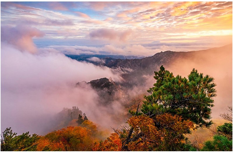 화채봉의 가을아침