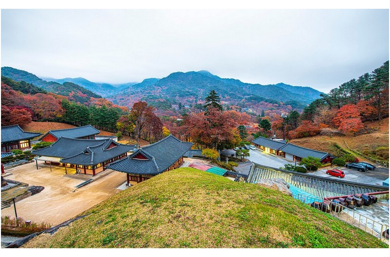 절 집에 다가온 가을