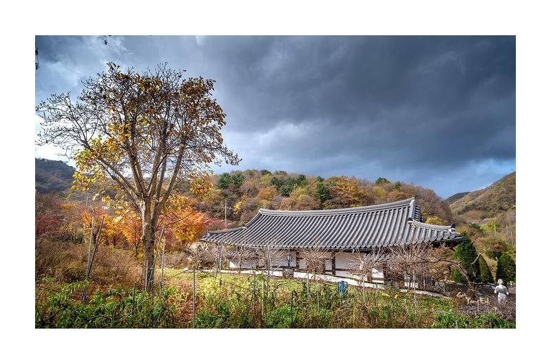 가을이 익어감에 따라