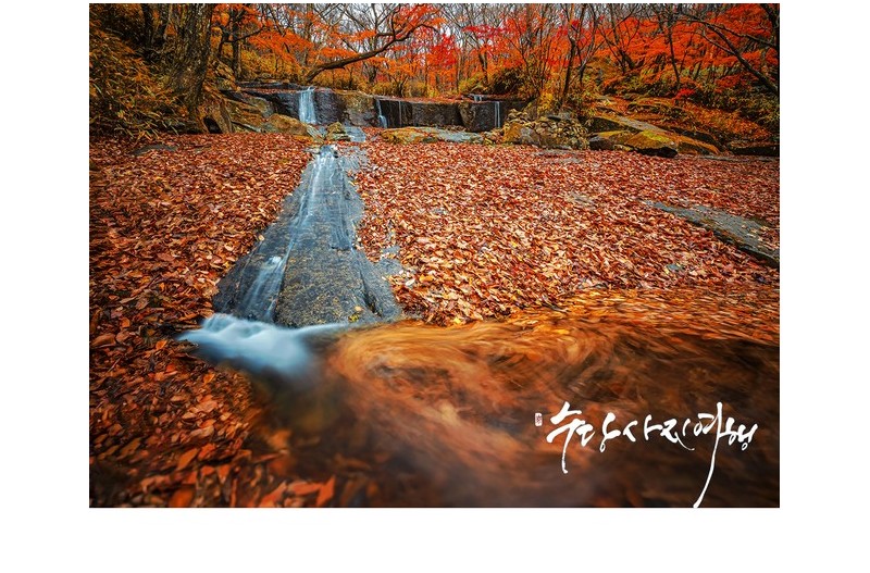 아름다운 이별!