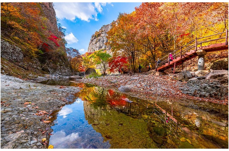 절골계곡의 만추