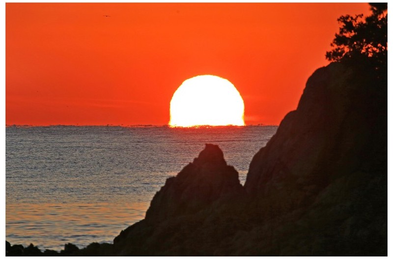 오메가 보는 날