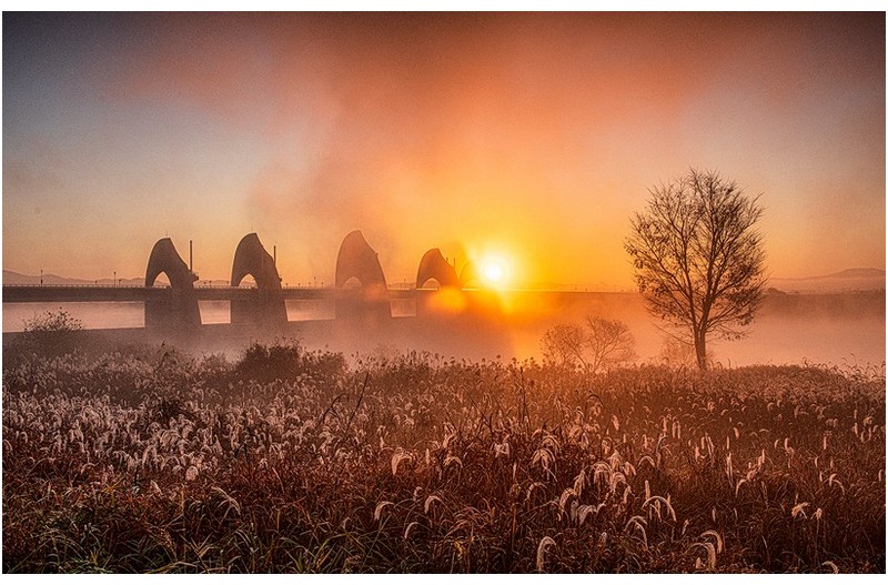 승촌보(영산강)