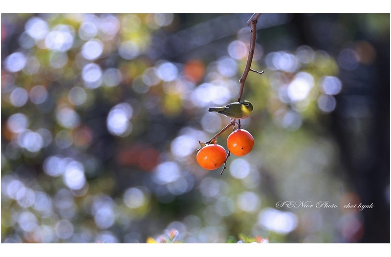 ㅡㅡㅡ   동네 한바꾸   ㅡㅡㅡ