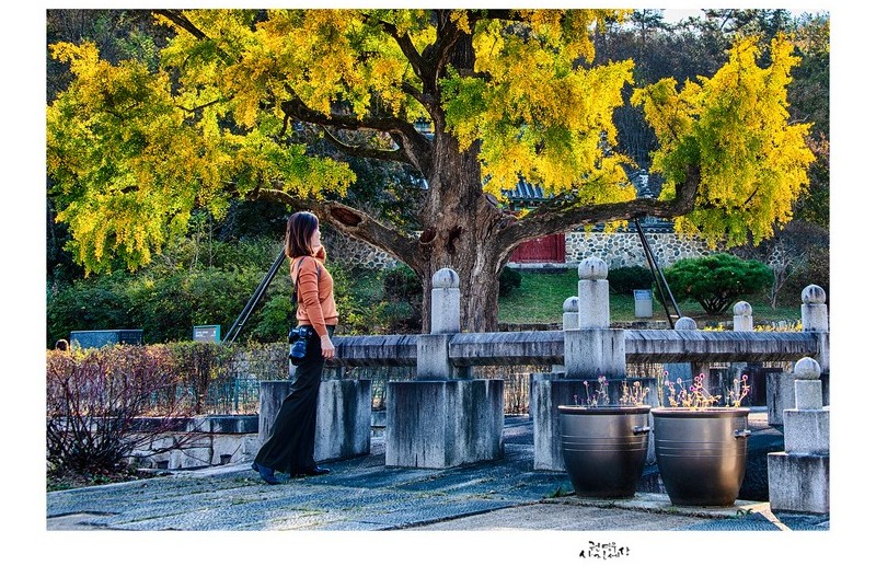 가을 그늘 아래서...