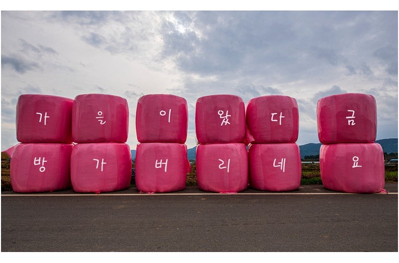 현장속의 설치예술