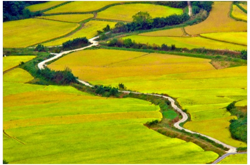 두동리의 가을`