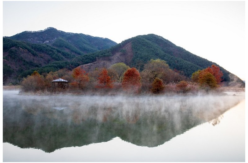 몽환의 가을 아침