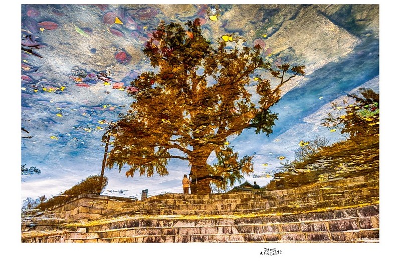 가을이 남기고 떠난 것