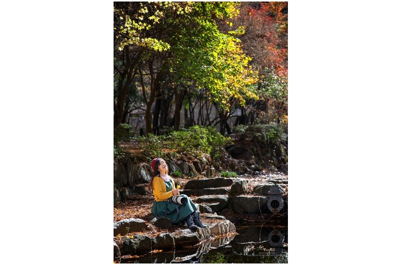 가을로 떠난 소풍