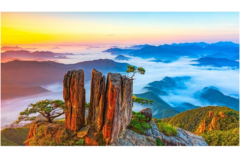 산하의 아침 빛