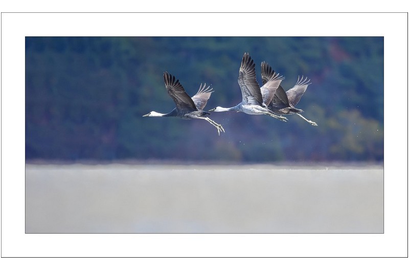 아름다운 비행...