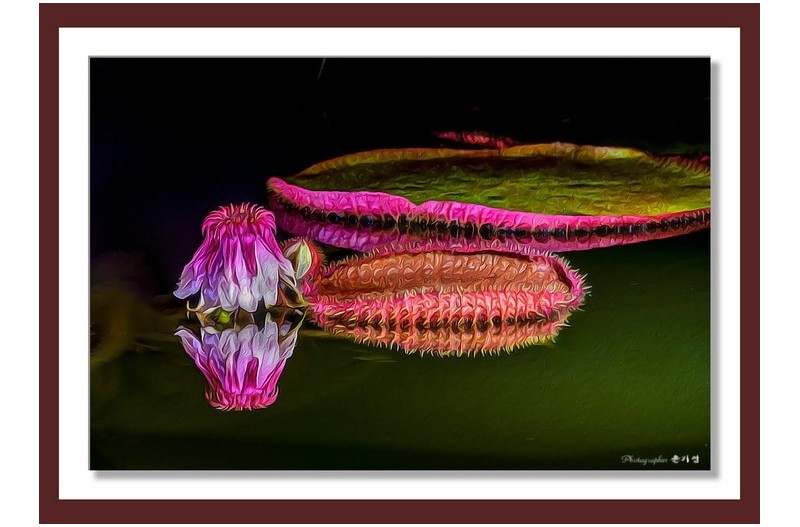 빅토리아연 - 유화