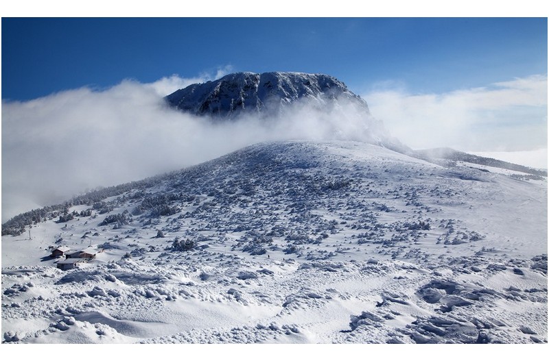 한라산에 폭설이 내리면....